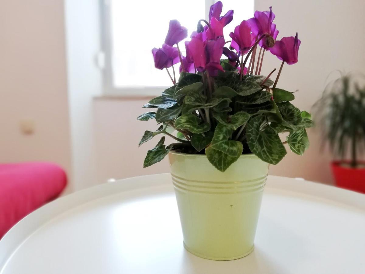 אומאג City Center Apartment מראה חיצוני תמונה